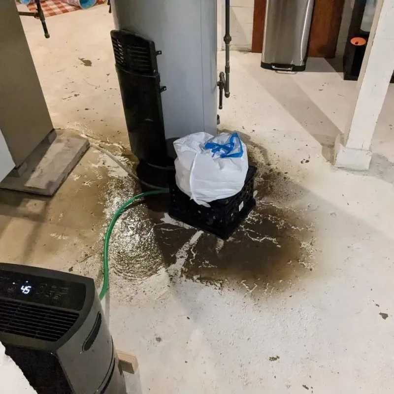 Sewage Backup Cleanup Service in Benjamin, UT